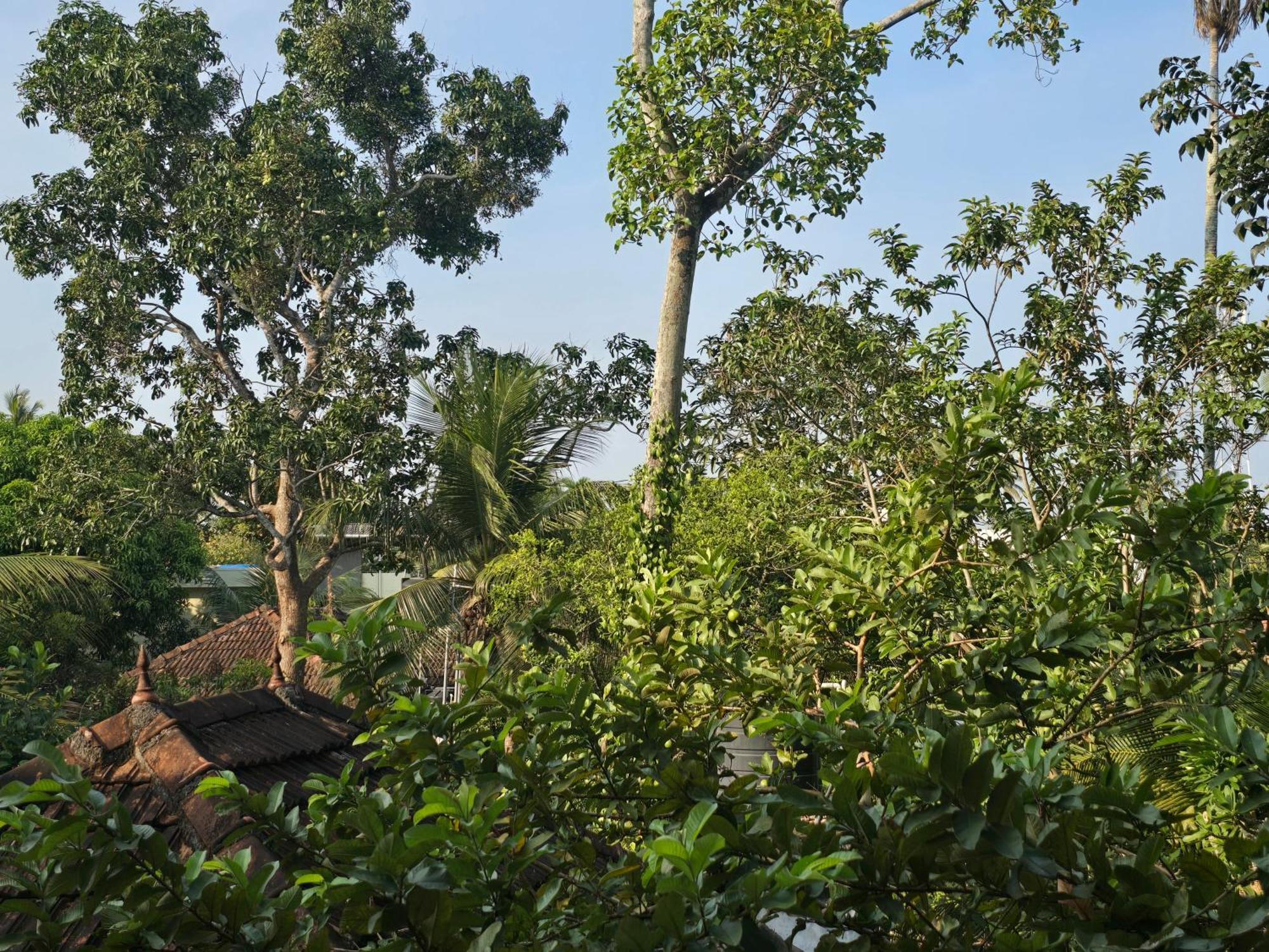 Bella Homestay Kerala Alappuzha Eksteriør billede