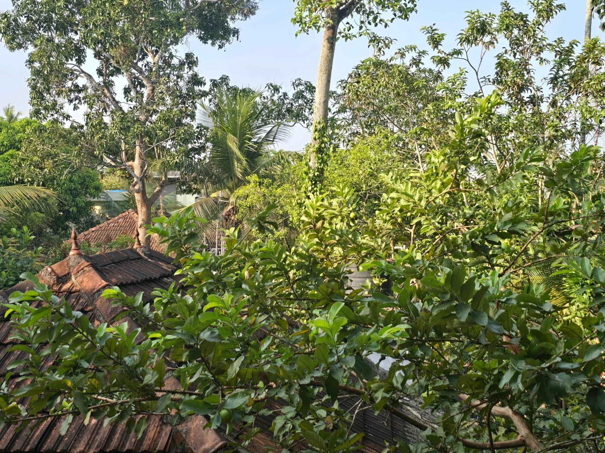 Bella Homestay Kerala Alappuzha Eksteriør billede