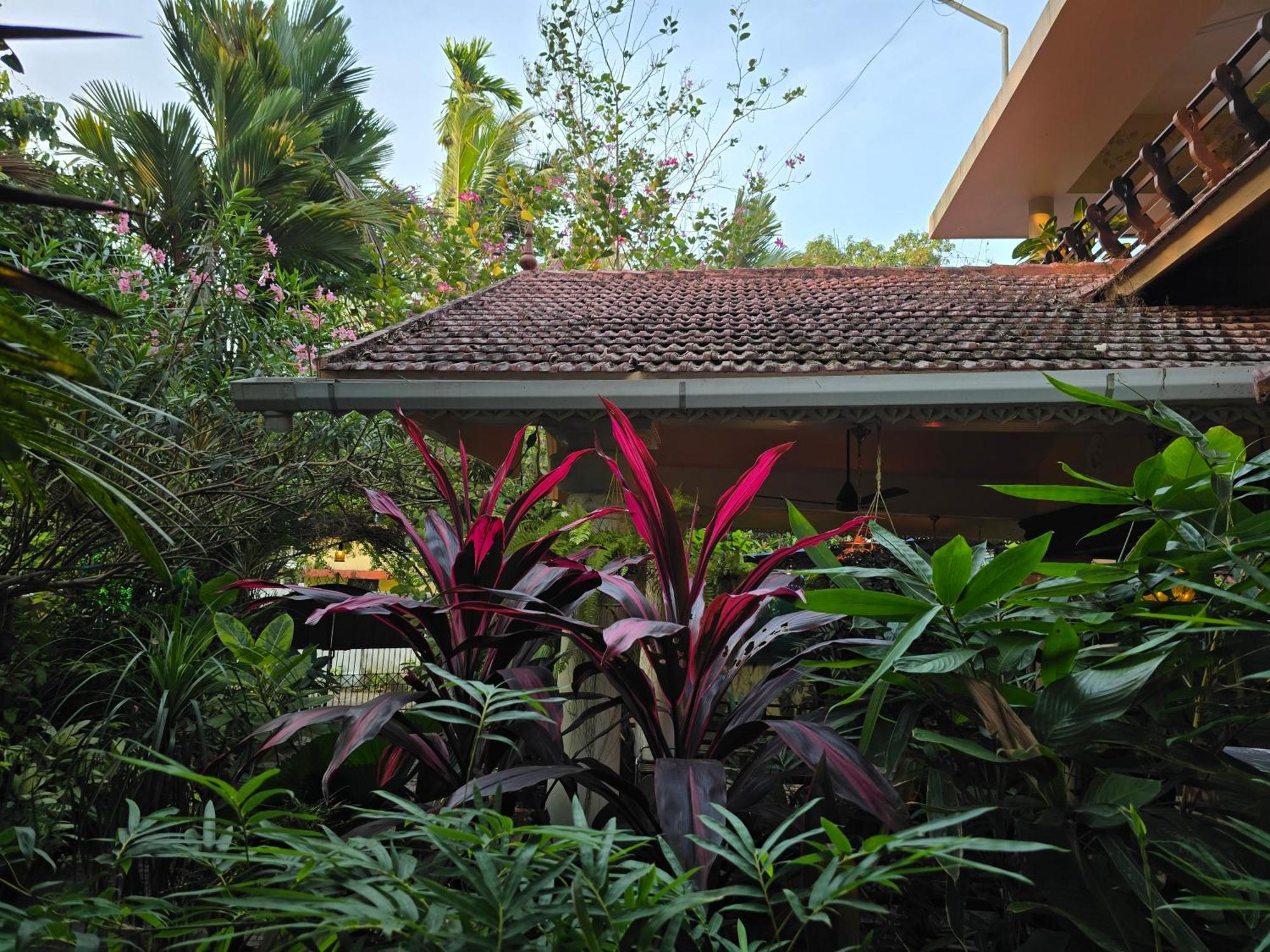 Bella Homestay Kerala Alappuzha Eksteriør billede