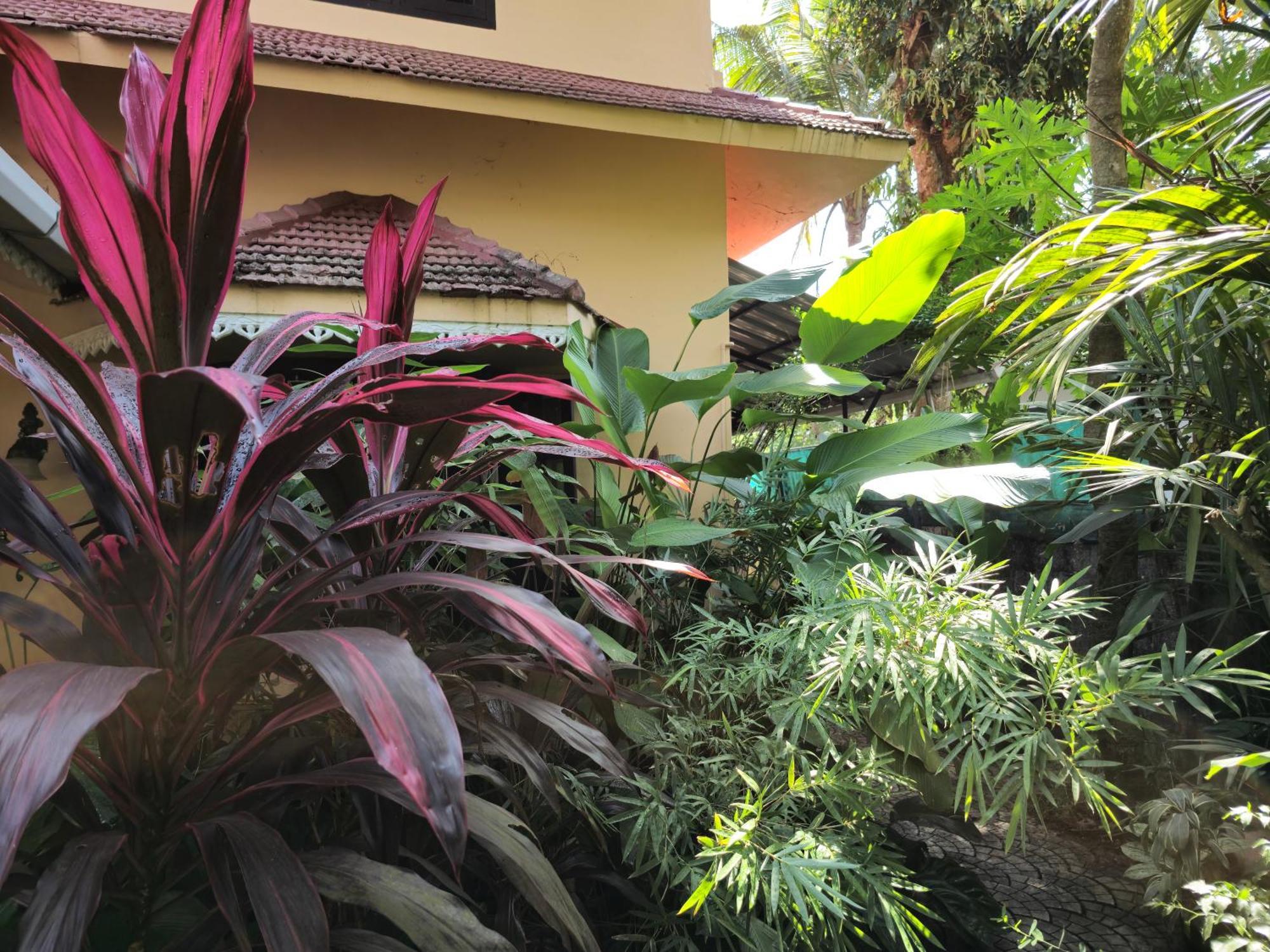 Bella Homestay Kerala Alappuzha Eksteriør billede